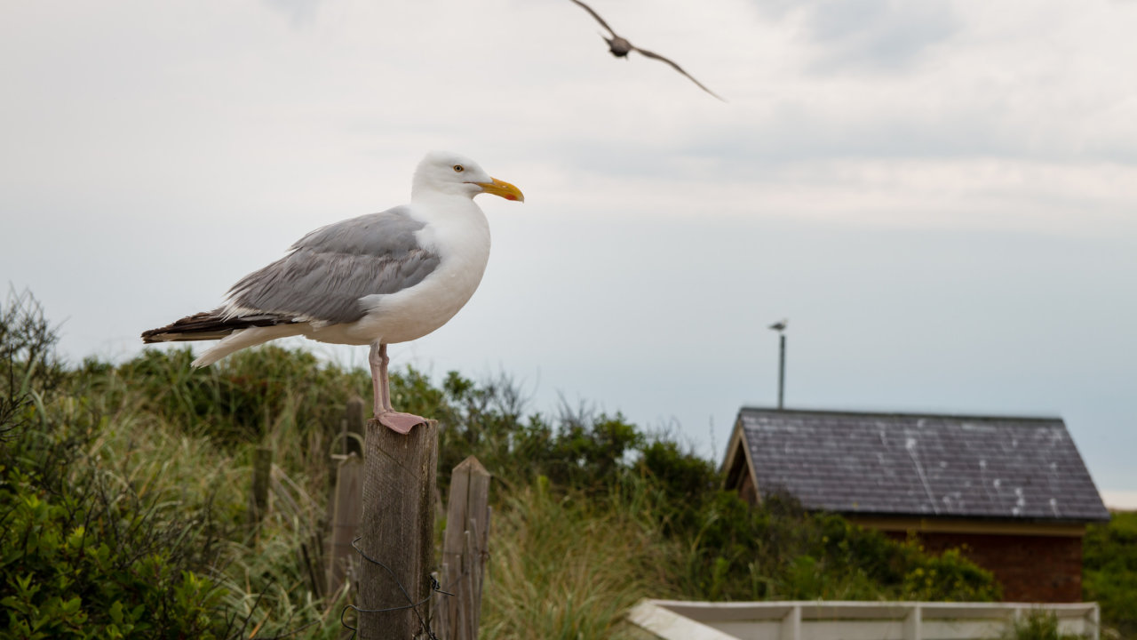 Block Island Photo Showcase