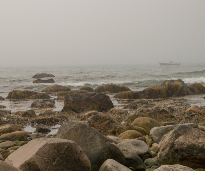Welcome to Paradise